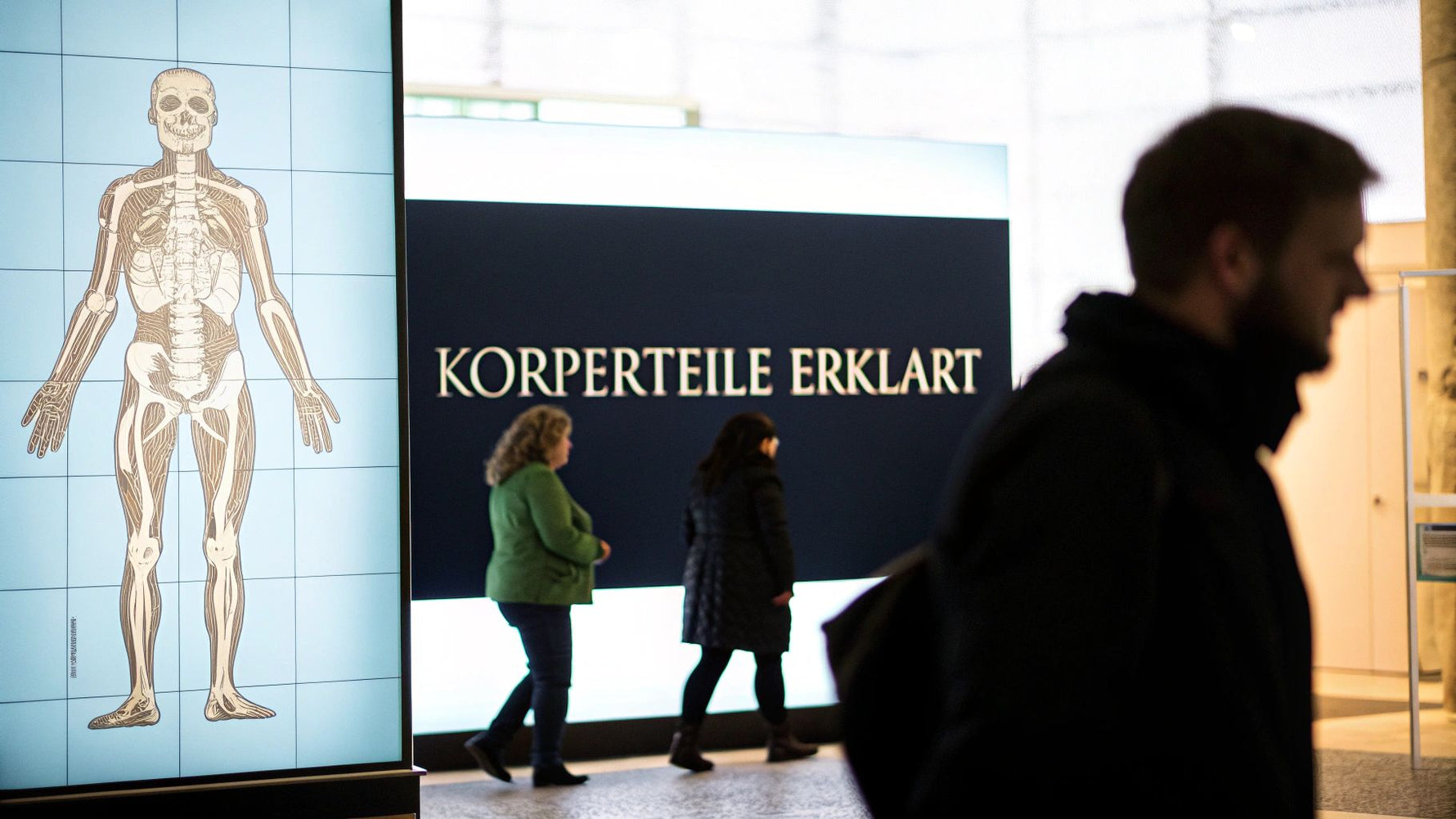 Körperteile des menschen verständlich erklärt