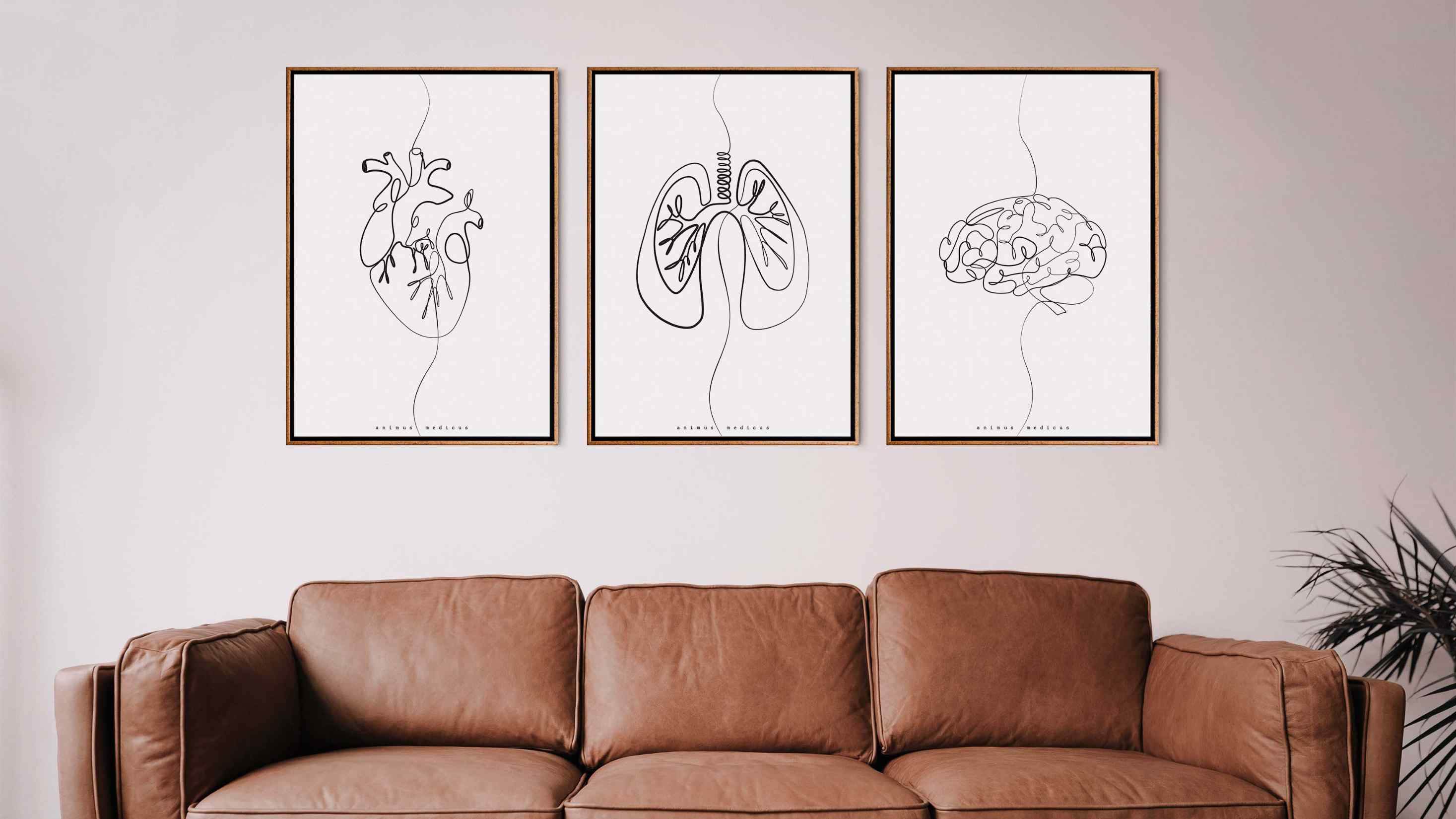 Minimalist - Animus Medicus GmbH