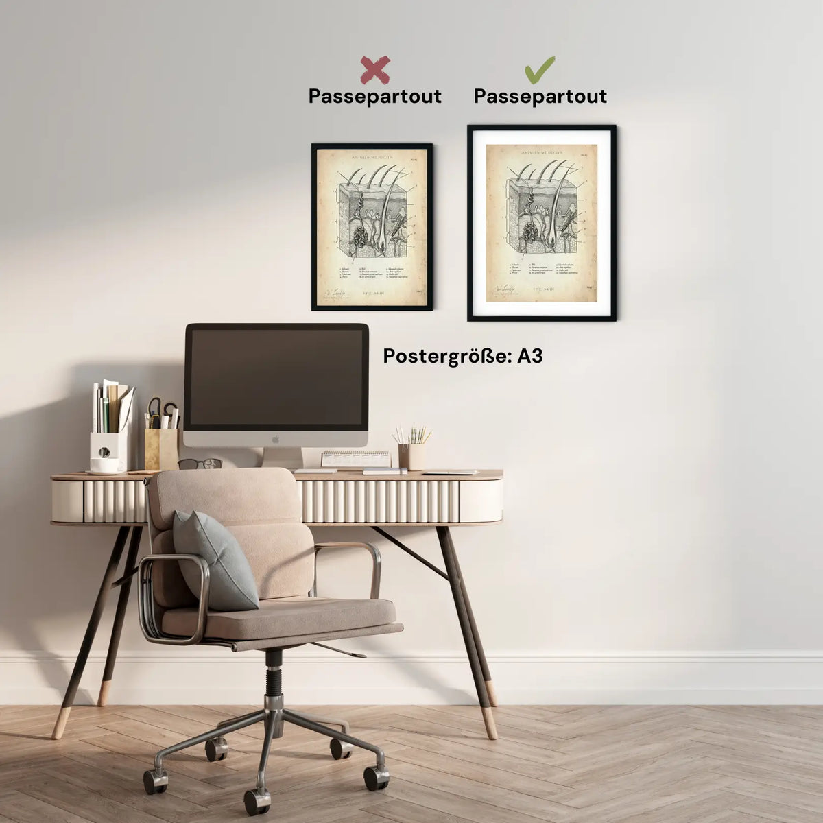 Aufbau der Haut - Animus Medicus GmbH