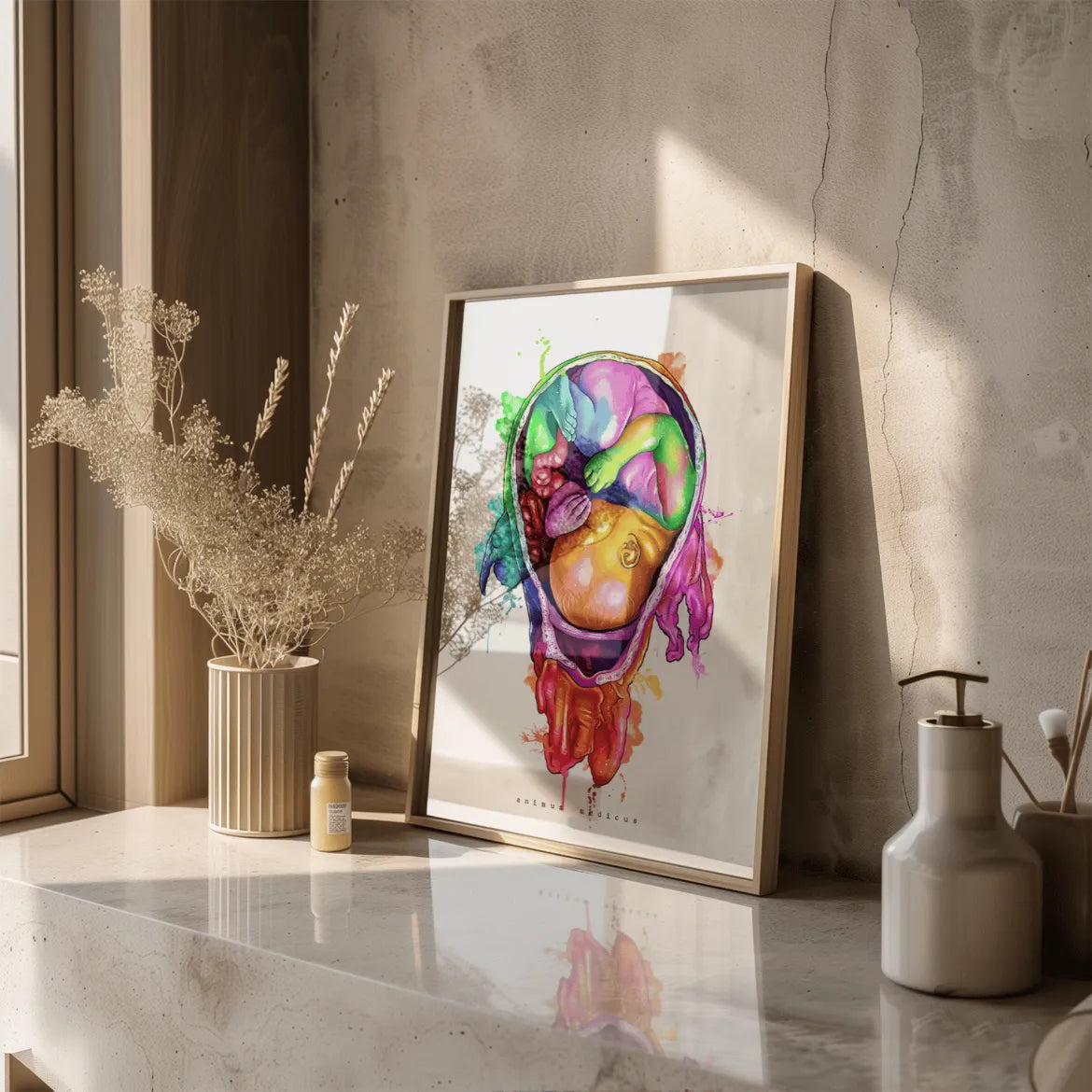 Baby Anatomie - Rainbow - Animus Medicus GmbH