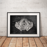 Beckenboden Muskulatur - Chalkboard - Animus Medicus GmbH