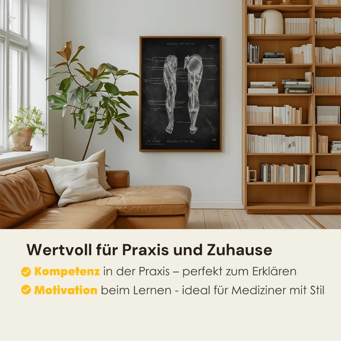 Beinmuskulatur Anatomie - Chalkboard - Animus Medicus GmbH