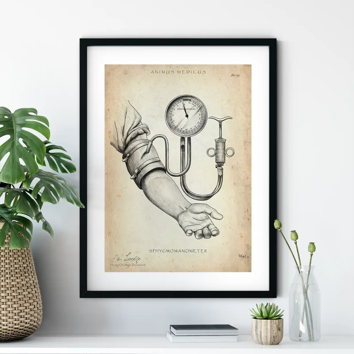 Blutdruck Poster - Animus Medicus GmbH