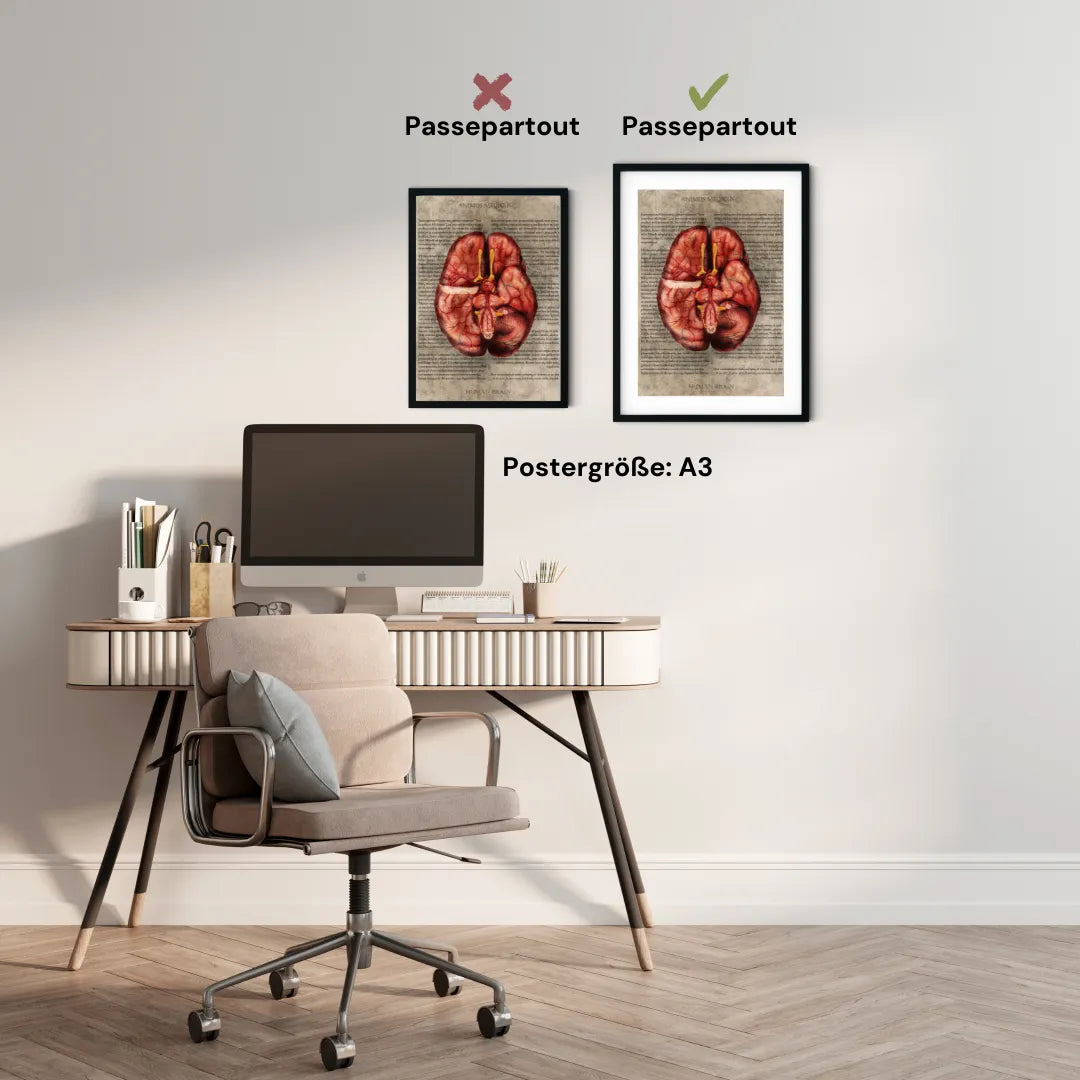 Das Gehirn - Buchseite - Animus Medicus GmbH