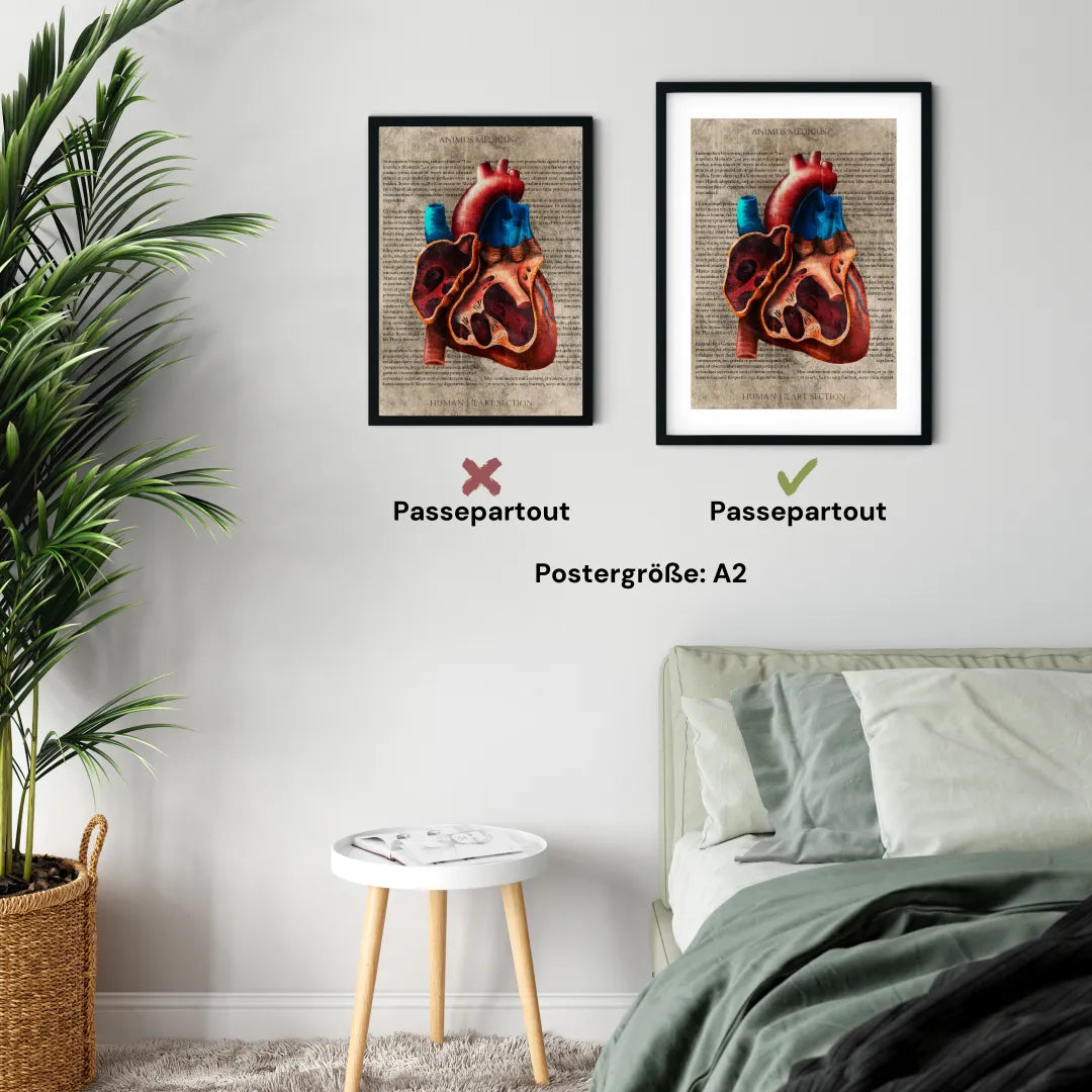 Das Herz - Buchseite - Animus Medicus GmbH