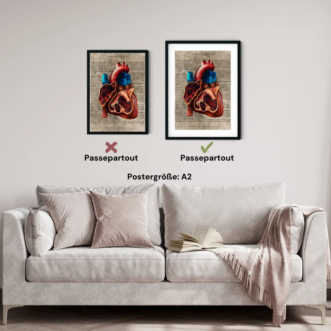 Das Herz - Buchseite - Animus Medicus GmbH