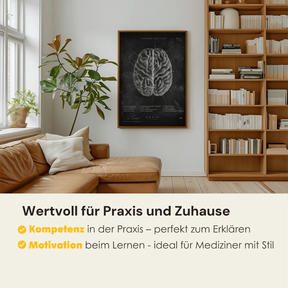 Das menschliche Gehirn - Chalkboard - Animus Medicus GmbH