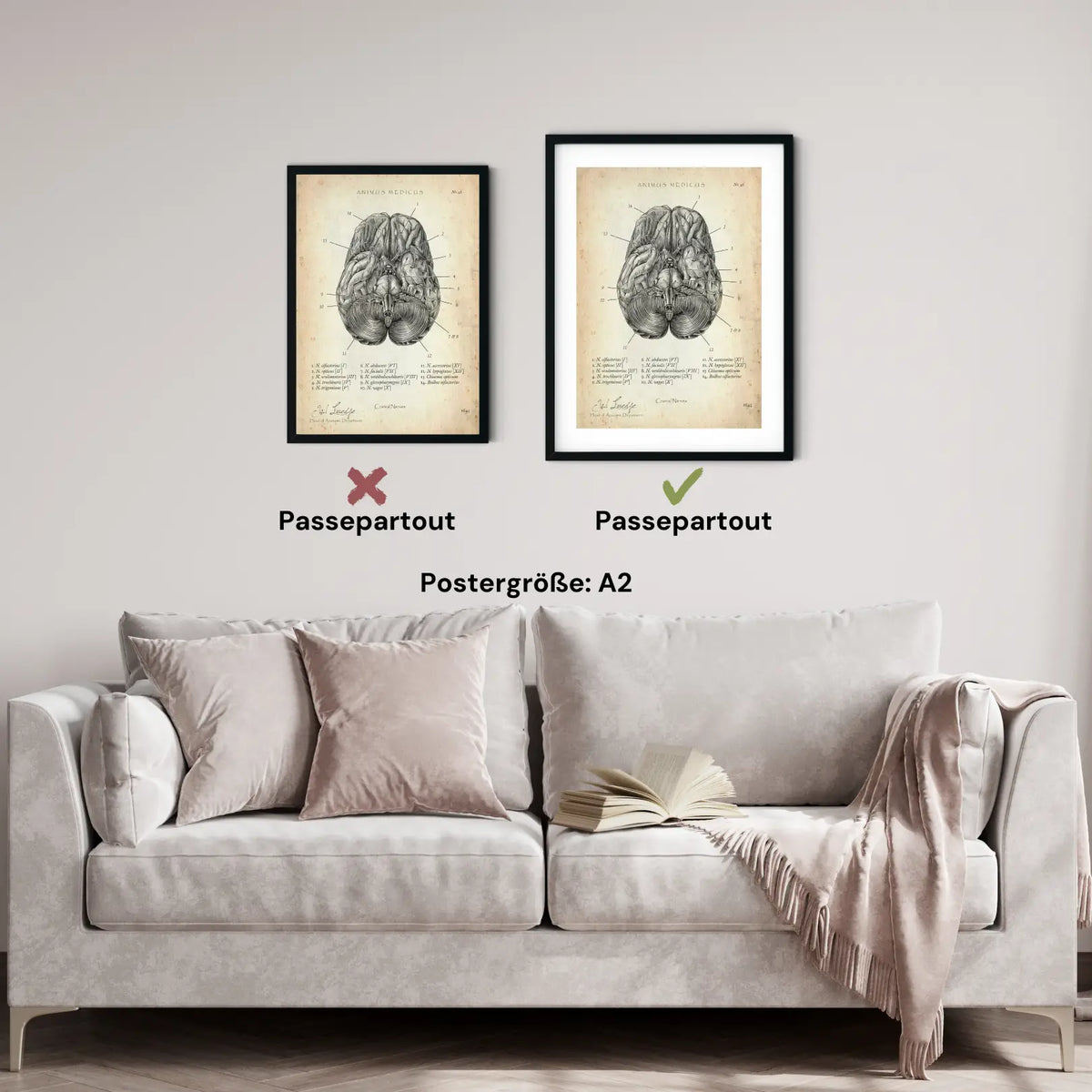 Die 12 Hirnnerven - Animus Medicus GmbH