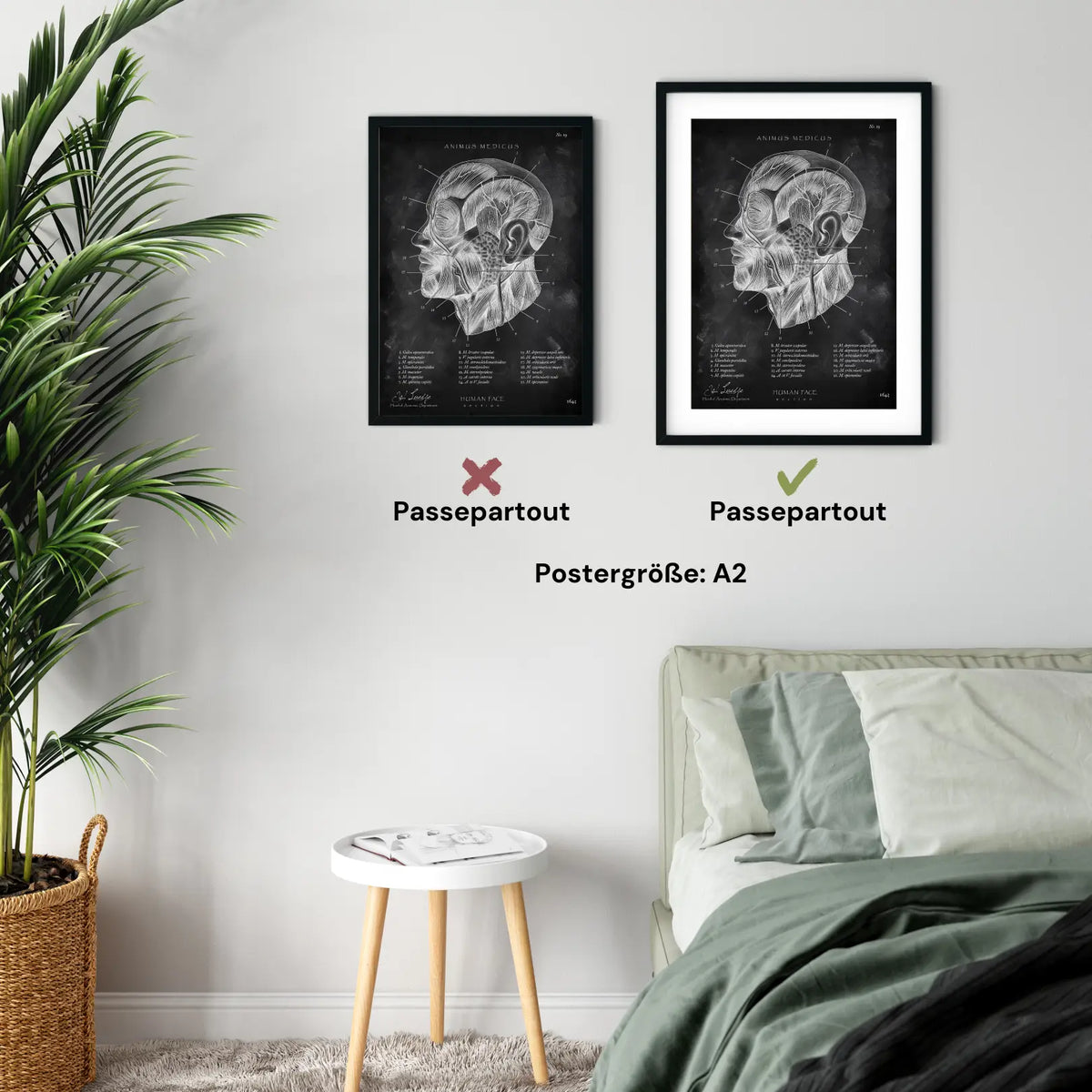 Die Gesicht Anatomie - Chalkboard - Animus Medicus GmbH