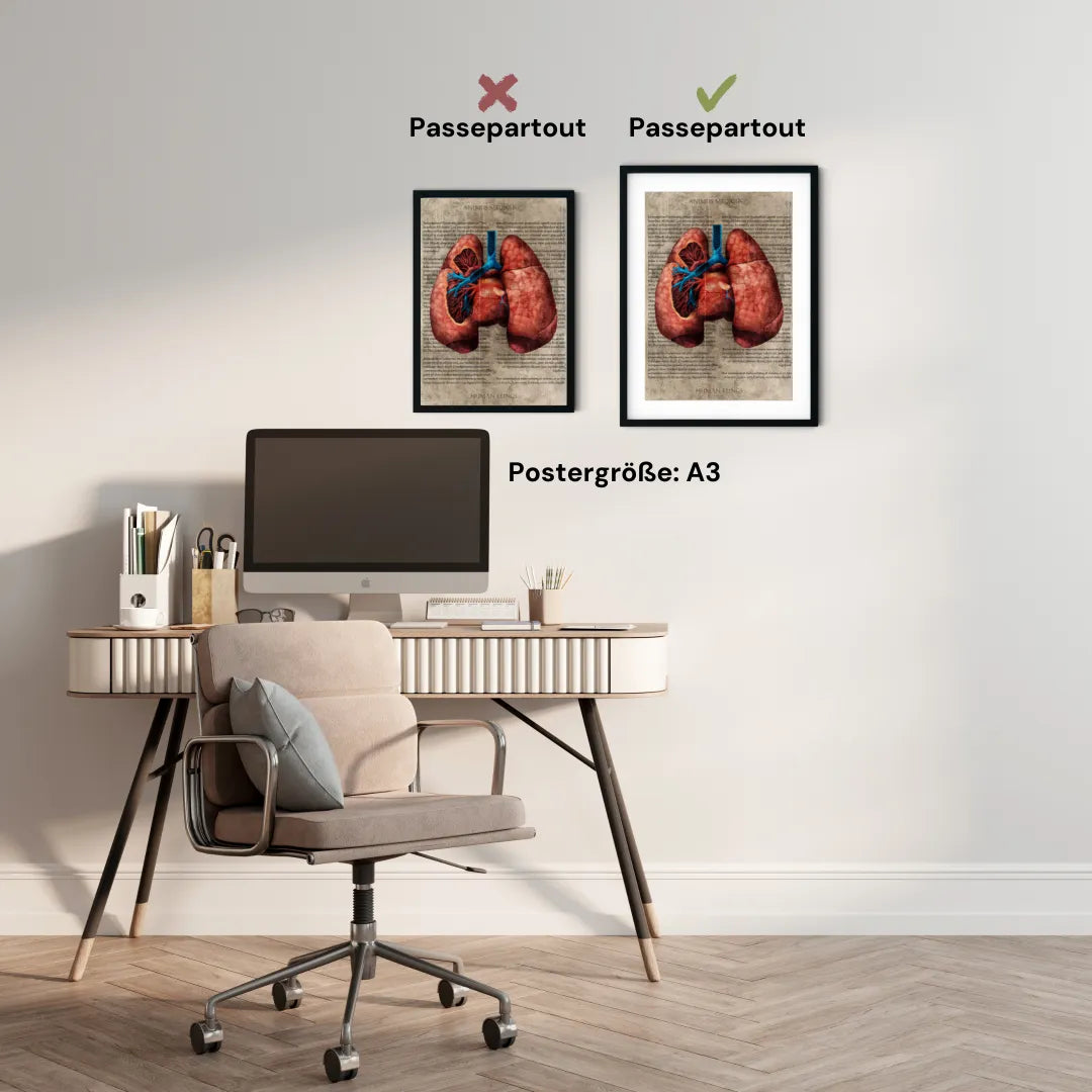 Die Lunge - Buchseite - Animus Medicus GmbH