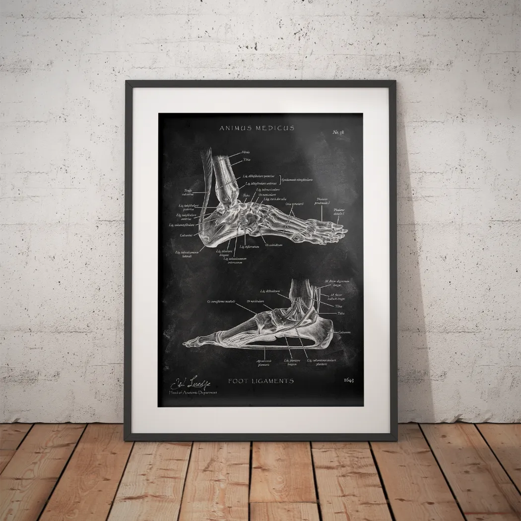 Fuß Bänder - Chalkboard - Animus Medicus GmbH