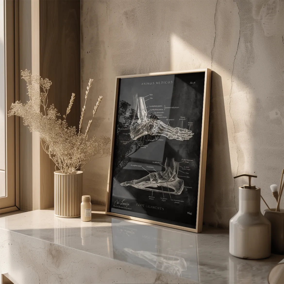 Fuß Bänder - Chalkboard - Animus Medicus GmbH