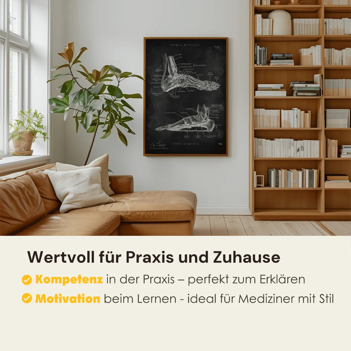 Fuß Bänder - Chalkboard - Animus Medicus GmbH