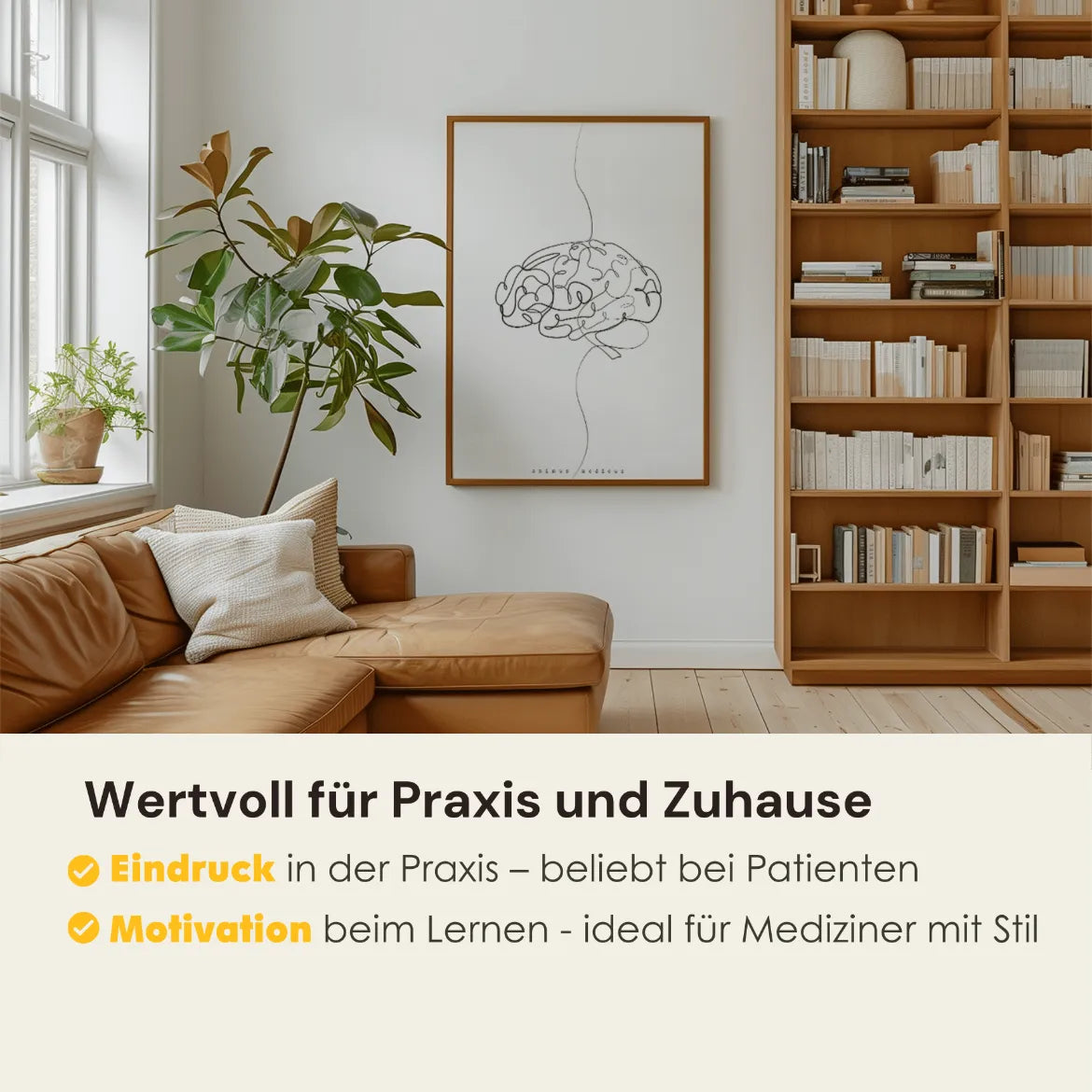 Gehirn Anatomie Minimalist - Animus Medicus GmbH