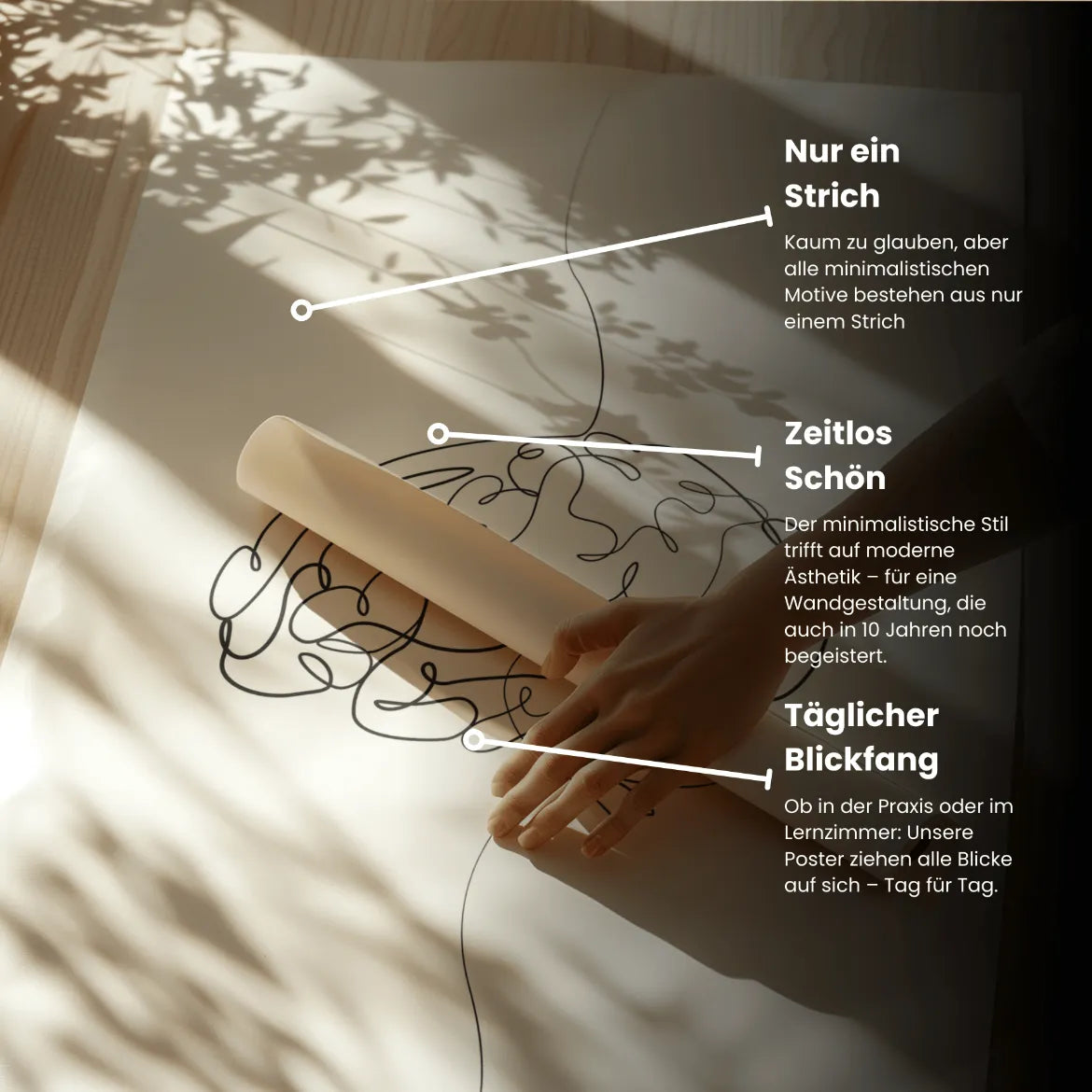 Gehirn Anatomie Minimalist - Animus Medicus GmbH