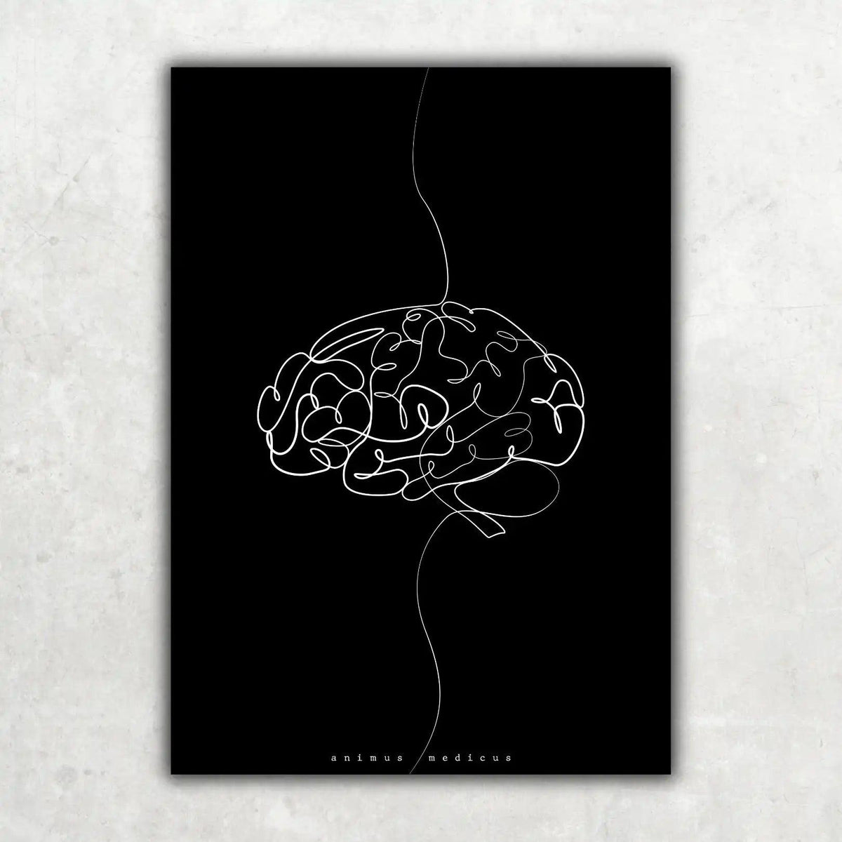 Gehirn Anatomie Minimalist Dark - Animus Medicus GmbH