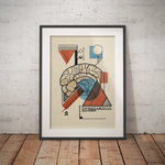 Gehirn - Bauhaus Edition - Animus Medicus GmbH