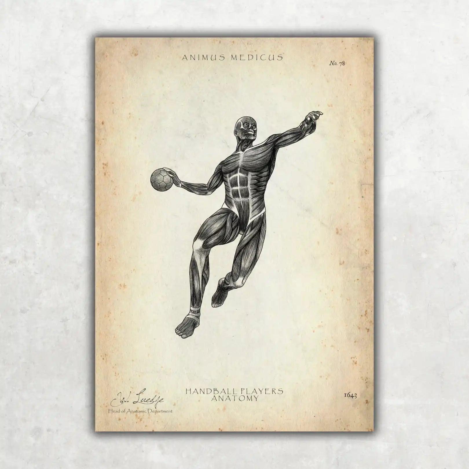 Handball Anatomie Poster