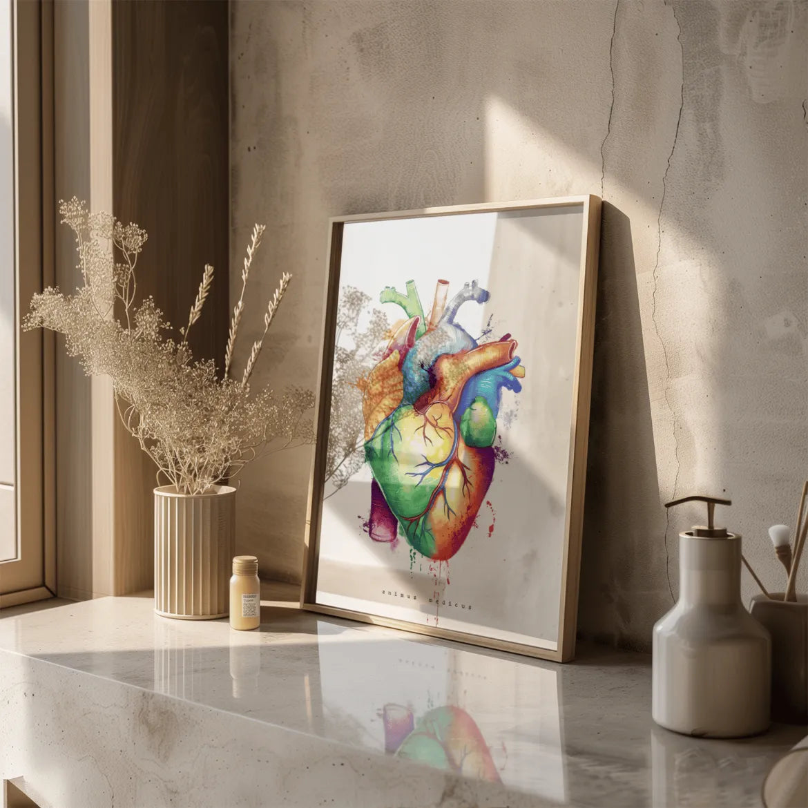 Herz Anatomie - Rainbow - Animus Medicus GmbH