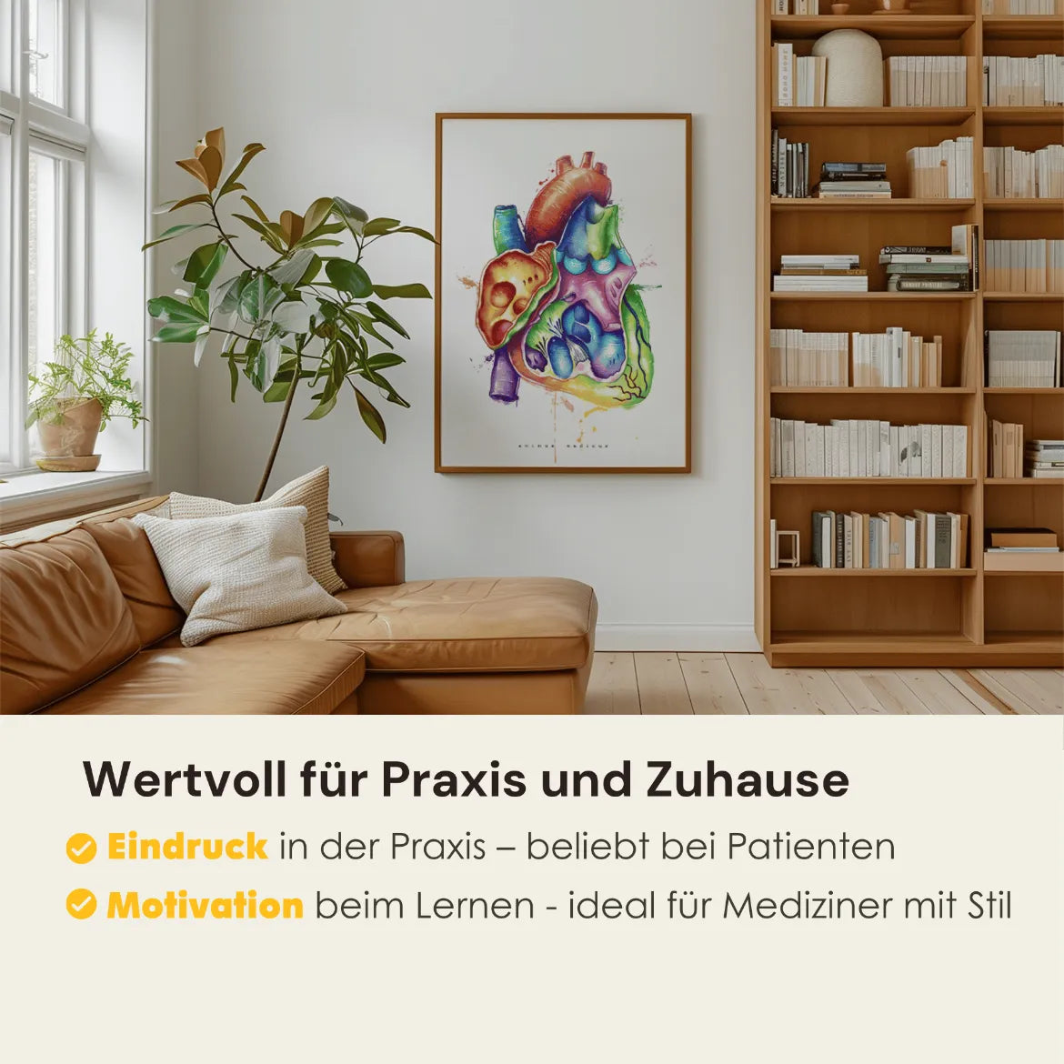 Herz im Schnitt Anatomie - Rainbow - Animus Medicus GmbH