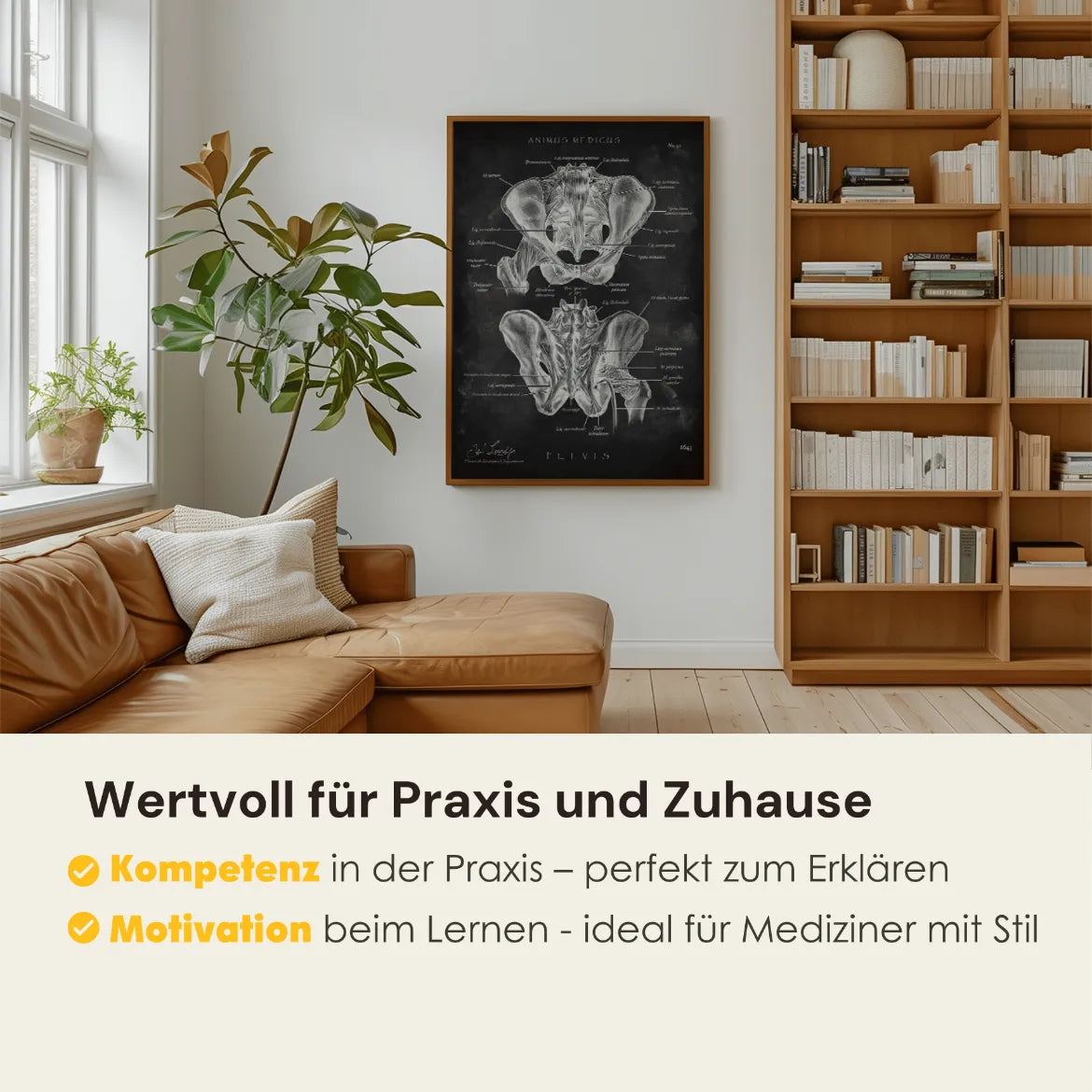 Hüftgelenk Anatomie - Chalkboard - Animus Medicus GmbH