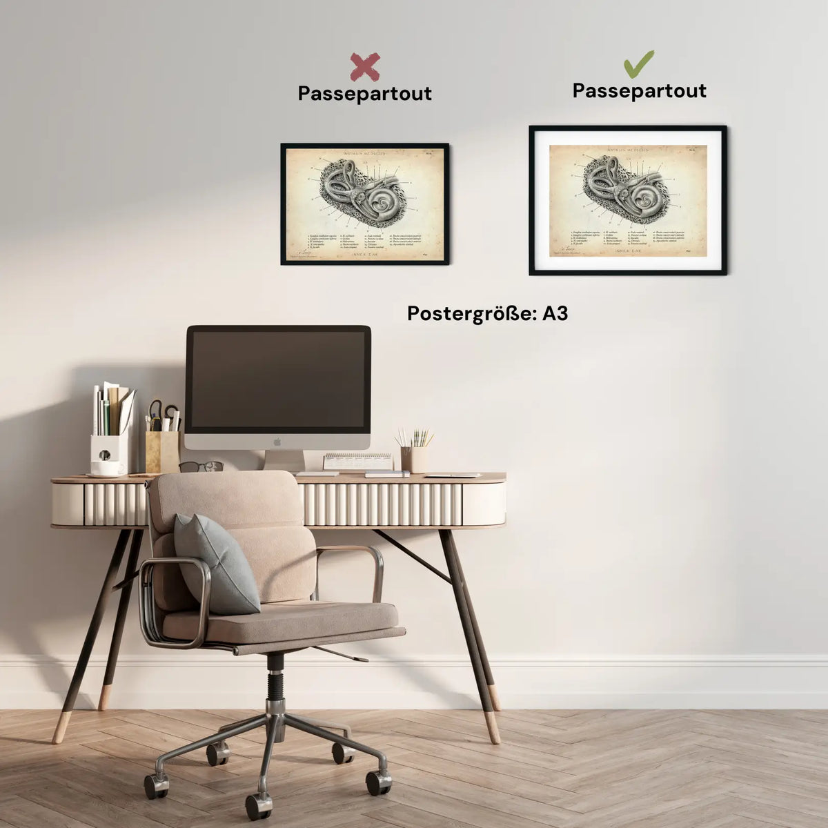 Innenohr Anatomie - Animus Medicus GmbH