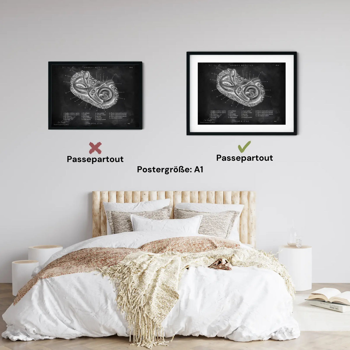 Innenohr Anatomie - Chalkboard - Animus Medicus GmbH