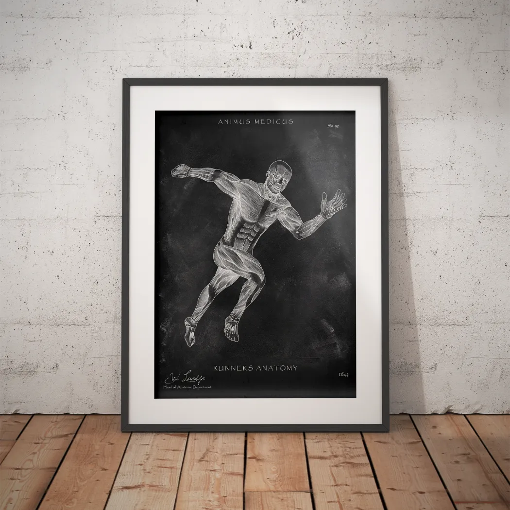 Läufer Anatomie Poster - Chalkboard - Animus Medicus GmbH