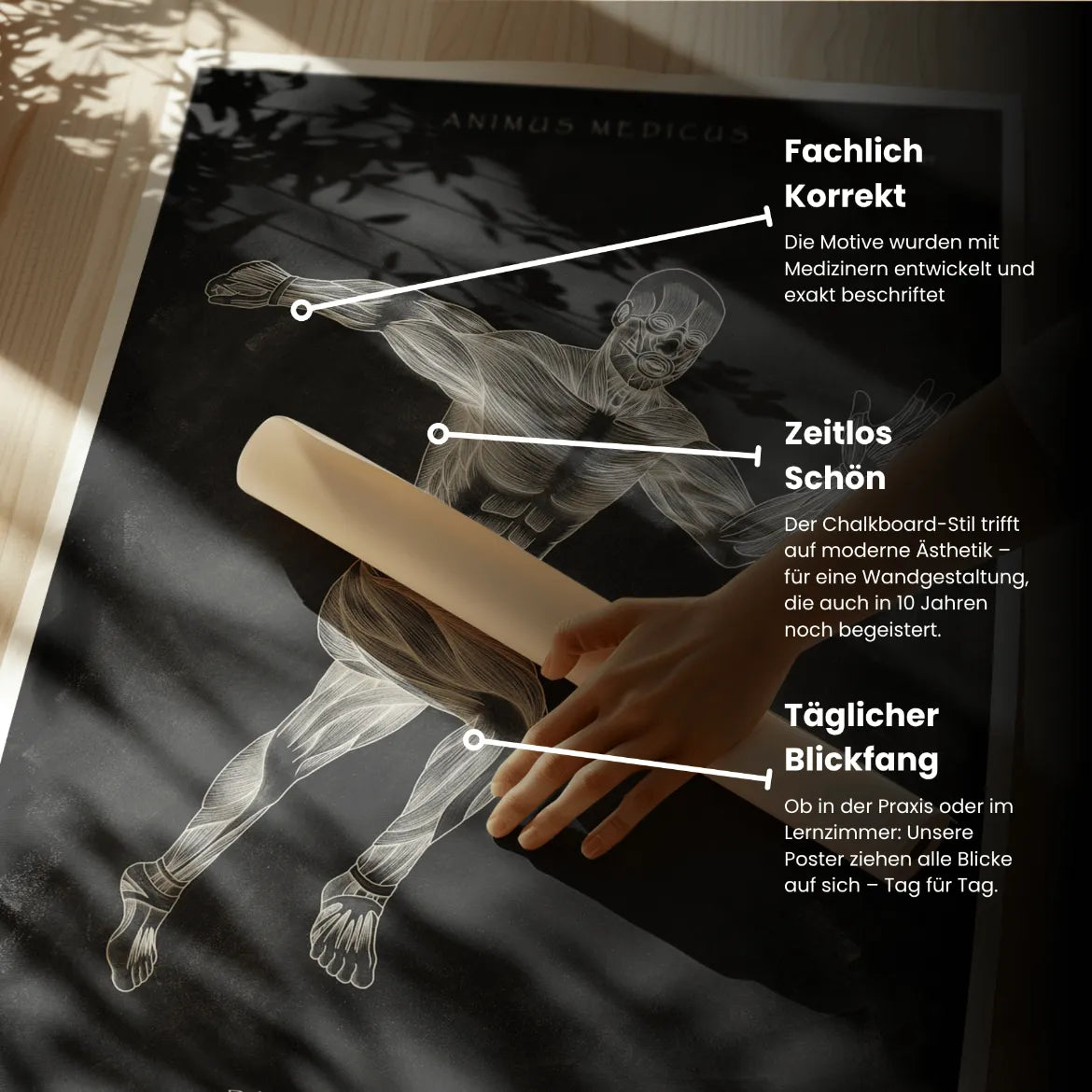 Läufer Anatomie Poster - Chalkboard - Animus Medicus GmbH