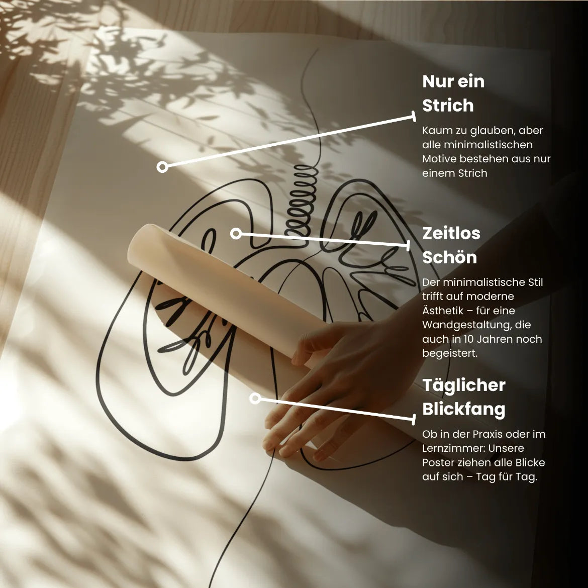 Lungen Anatomie Minimalist - Animus Medicus GmbH