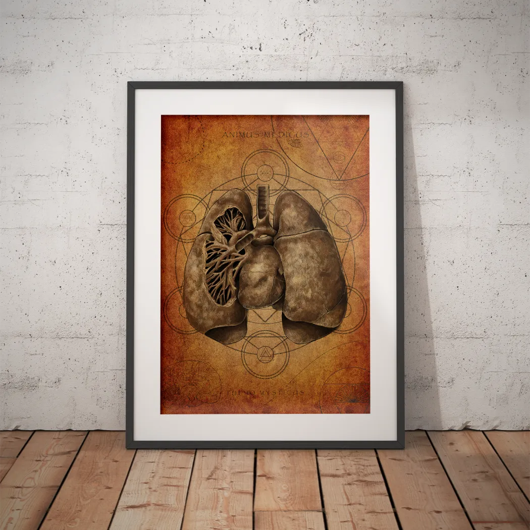 Mystische Lunge - Animus Medicus GmbH