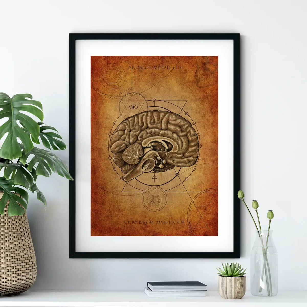 Mystisches Gehirn - Animus Medicus GmbH
