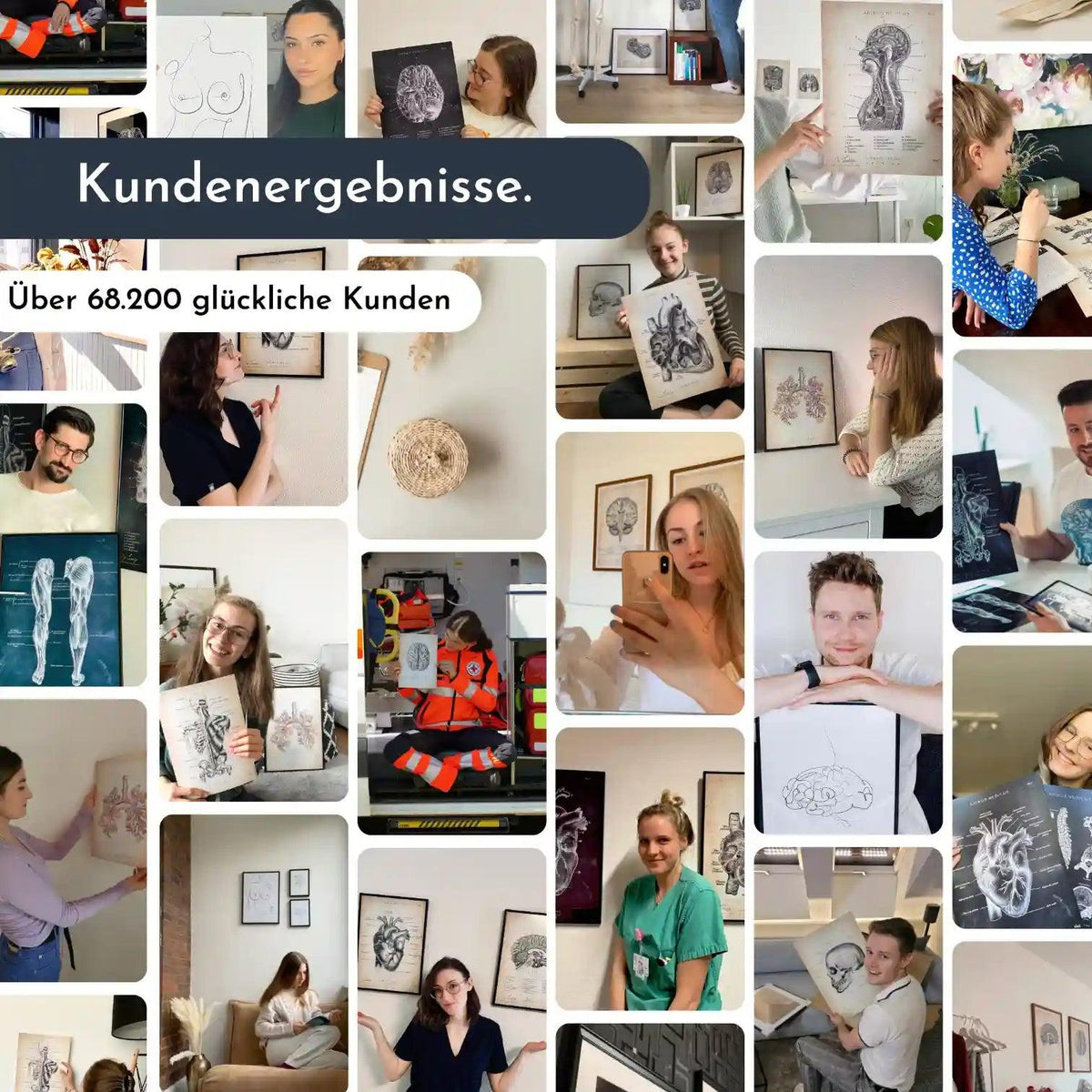 Nase im Sagittalschnitt - Animus Medicus GmbH