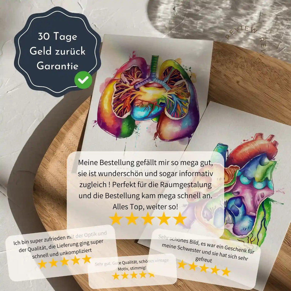 Nase im Sagittalschnitt - Animus Medicus GmbH