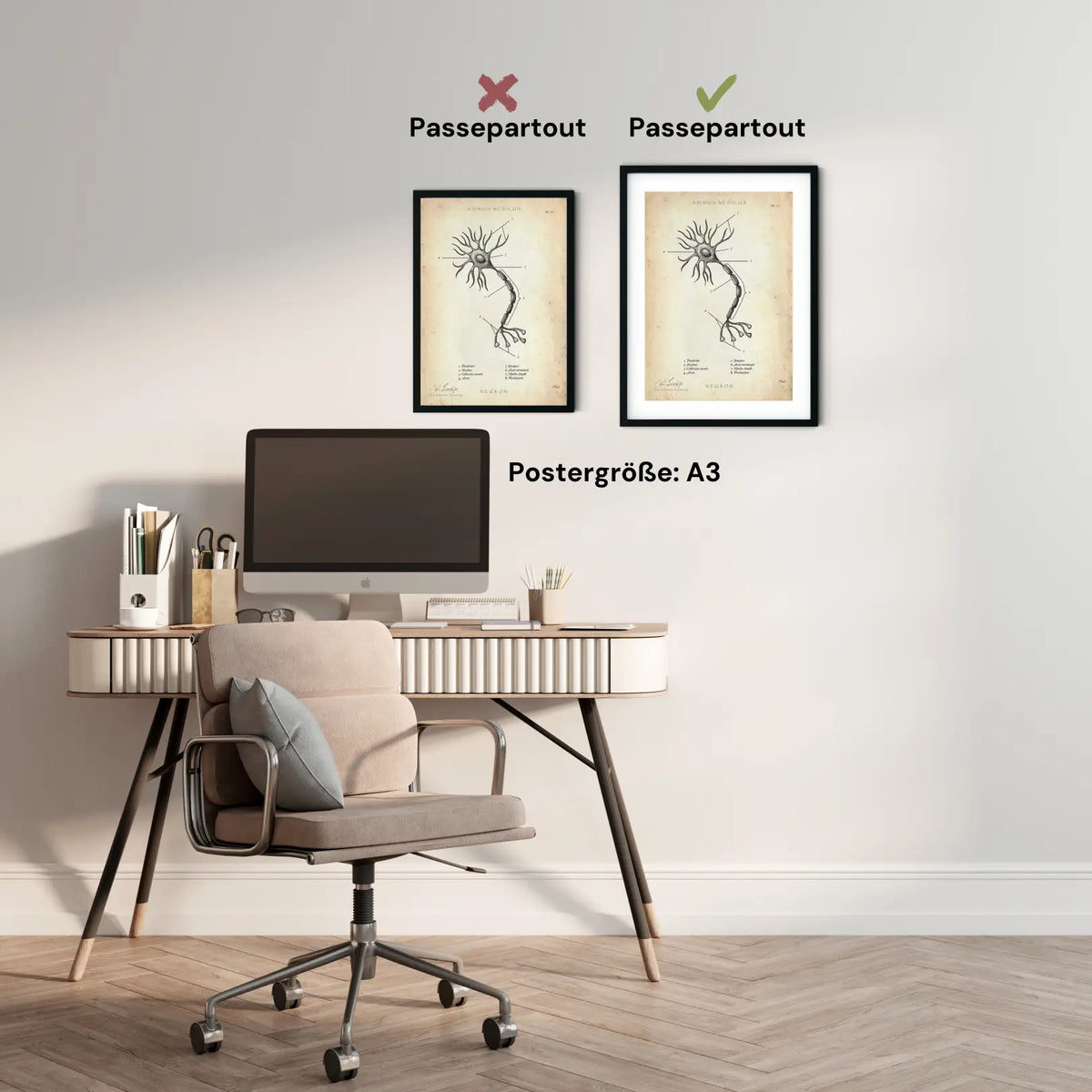 Nervenzelle Aufbau - Animus Medicus GmbH