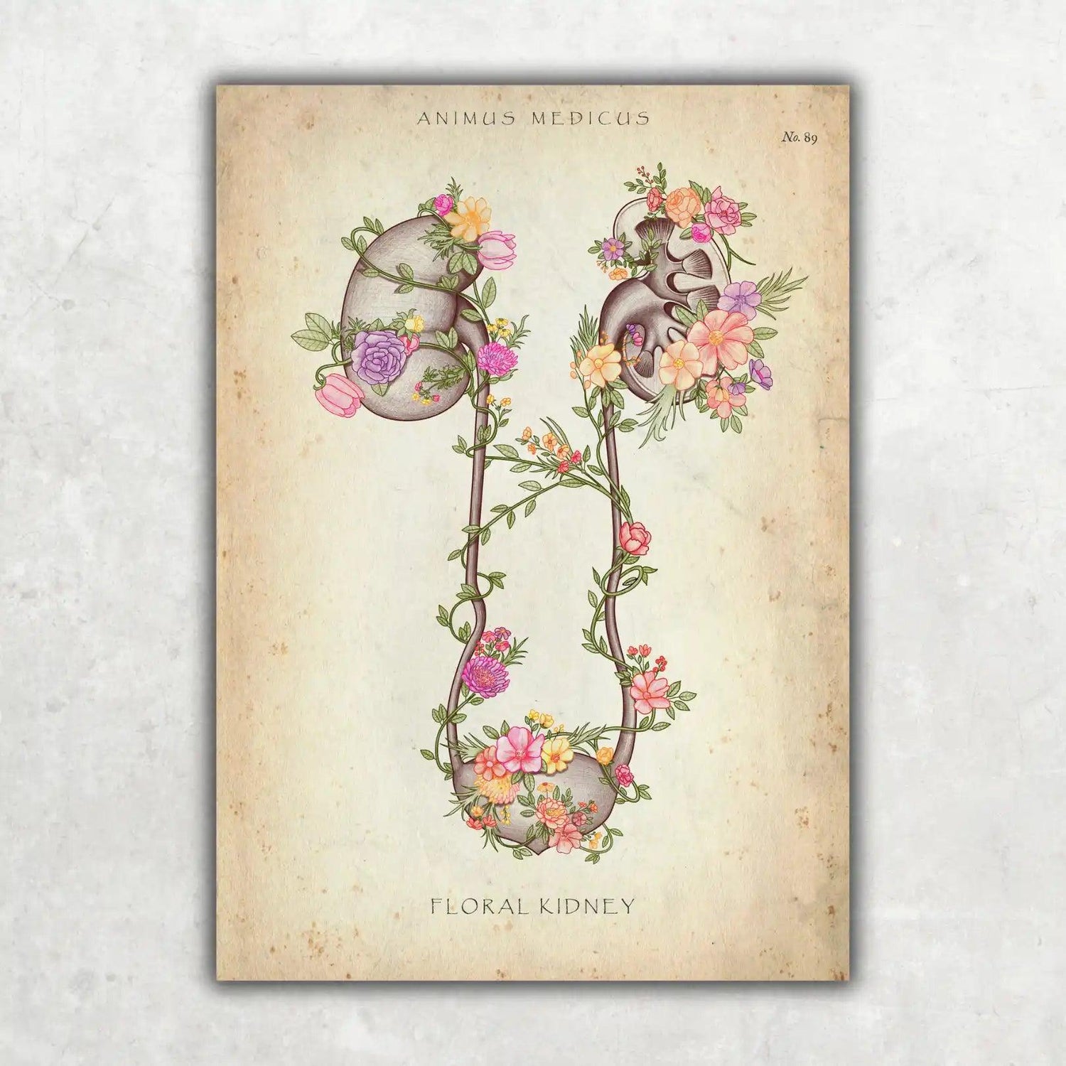 Niere und Blase mit Blumen - Animus Medicus GmbH