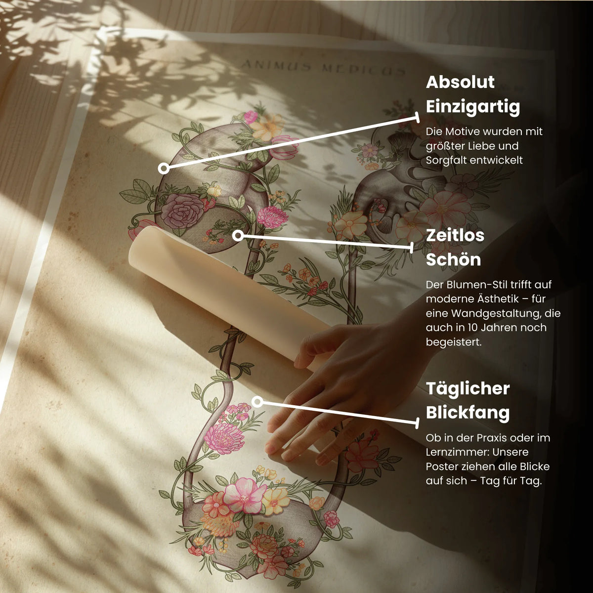 Niere und Blase mit Blumen - Animus Medicus GmbH