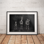 Osteologie der Tiere - Chalkboard - Animus Medicus GmbH