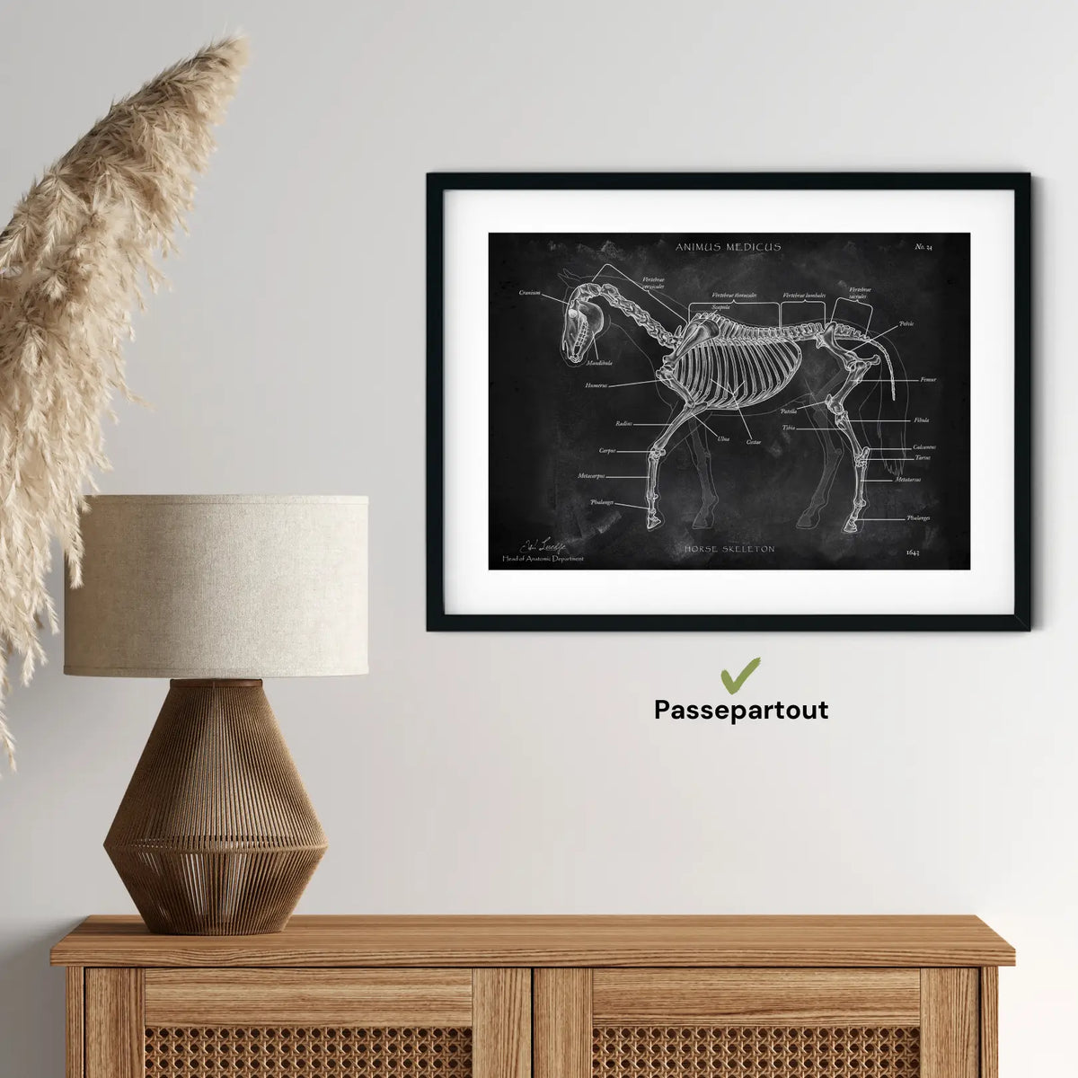 Pferde Anatomie - Chalkboard - Animus Medicus GmbH