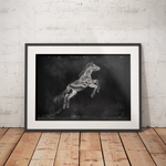 Pferde Muskulatur - Chalkboard - Animus Medicus GmbH