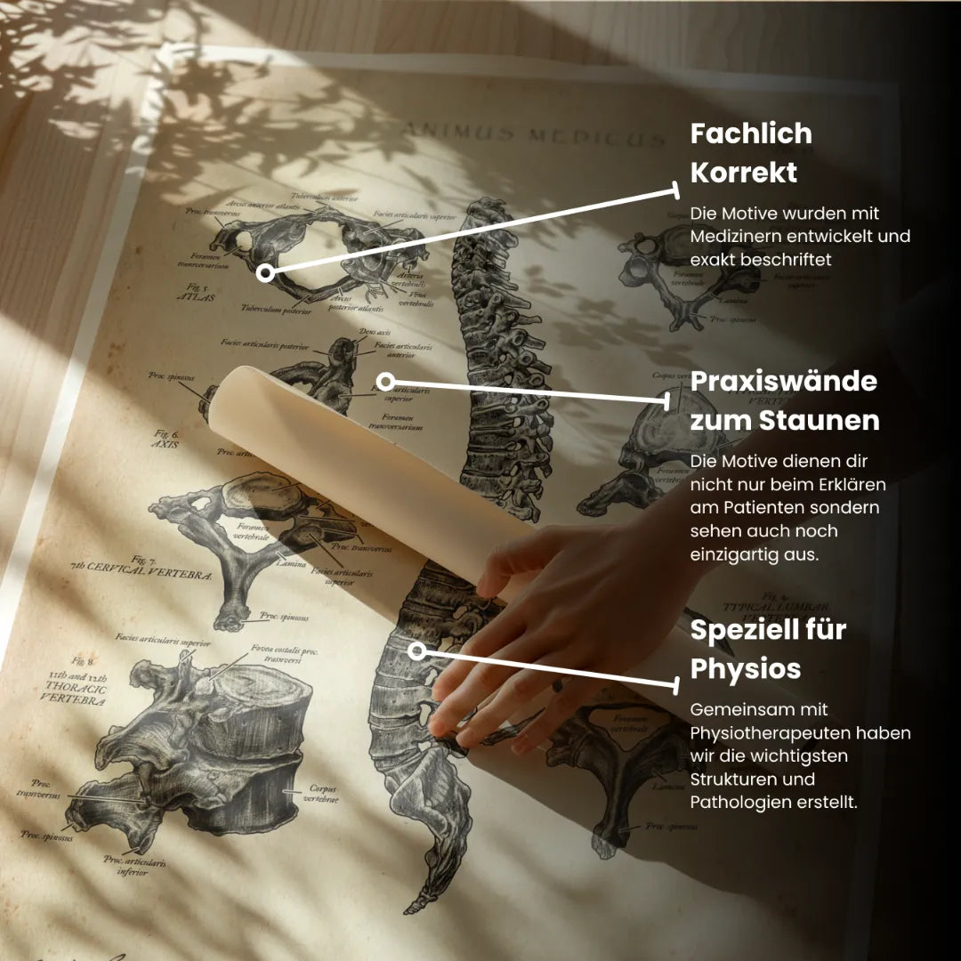 Physio Praxis Starter Set - Animus Medicus GmbH
