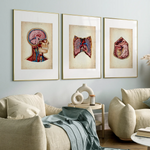 Reallife Triple Bundle - Animus Medicus GmbH