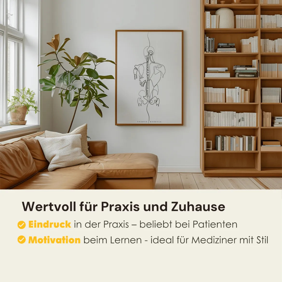 Rücken Anatomie Minimalist - Animus Medicus GmbH