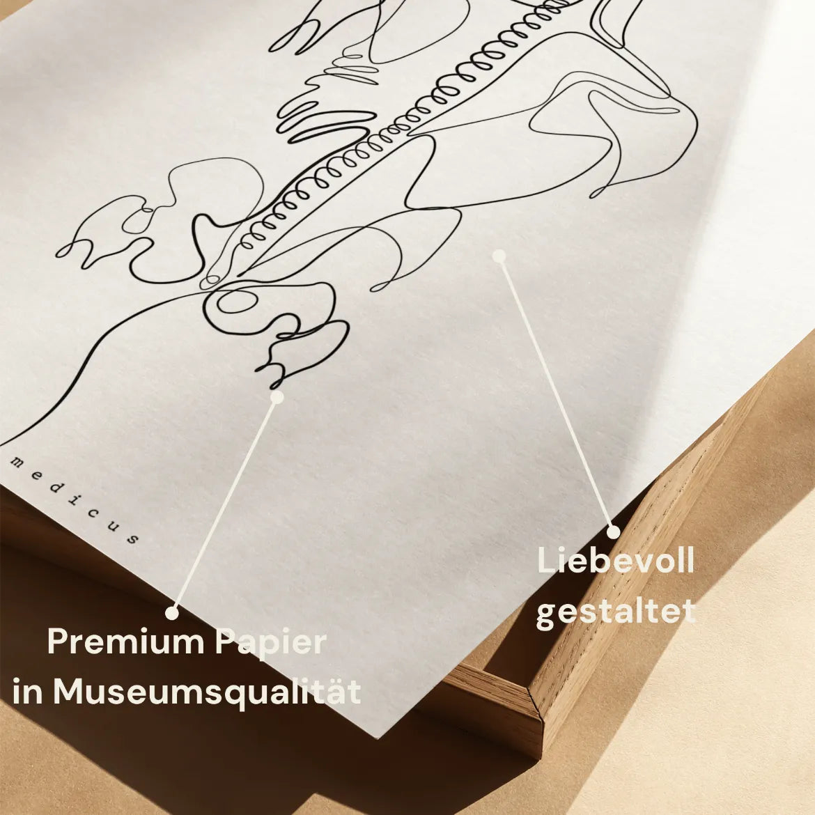 Rücken Anatomie Minimalist - Animus Medicus GmbH