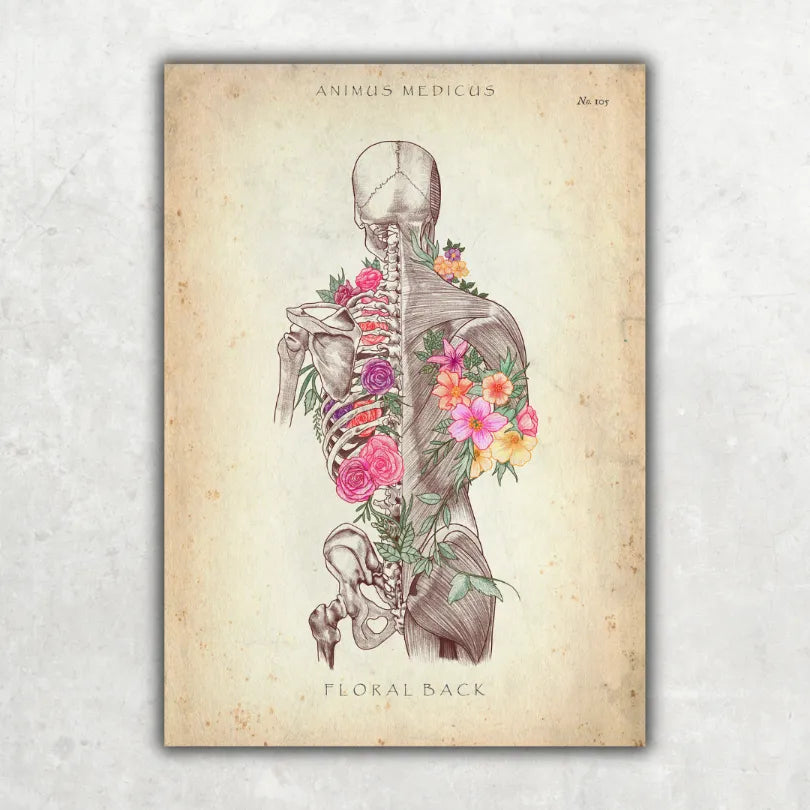 Rücken mit Blumen - Animus Medicus GmbH