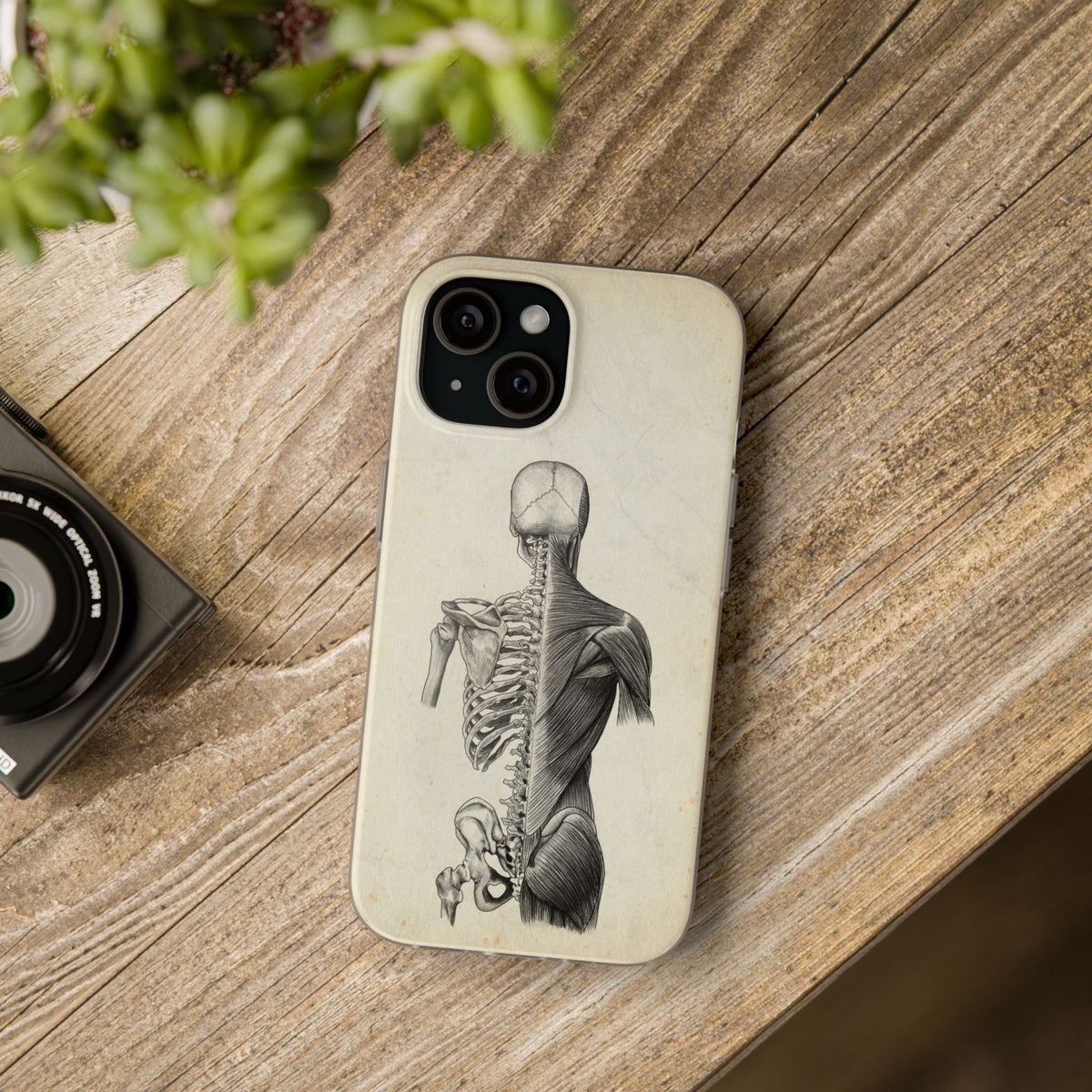 Rücken - Vintage - Animus Medicus GmbH