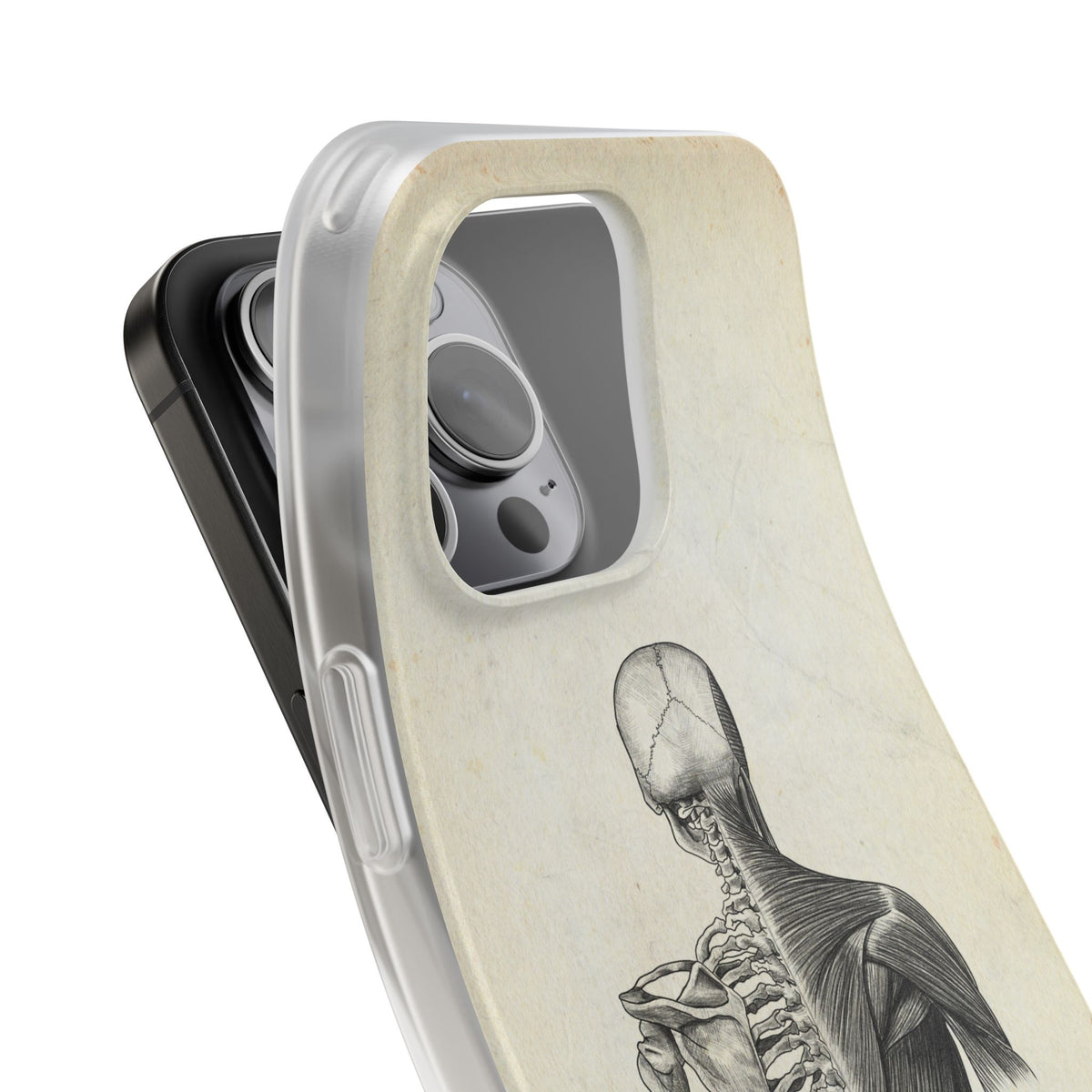 Rücken - Vintage - Animus Medicus GmbH