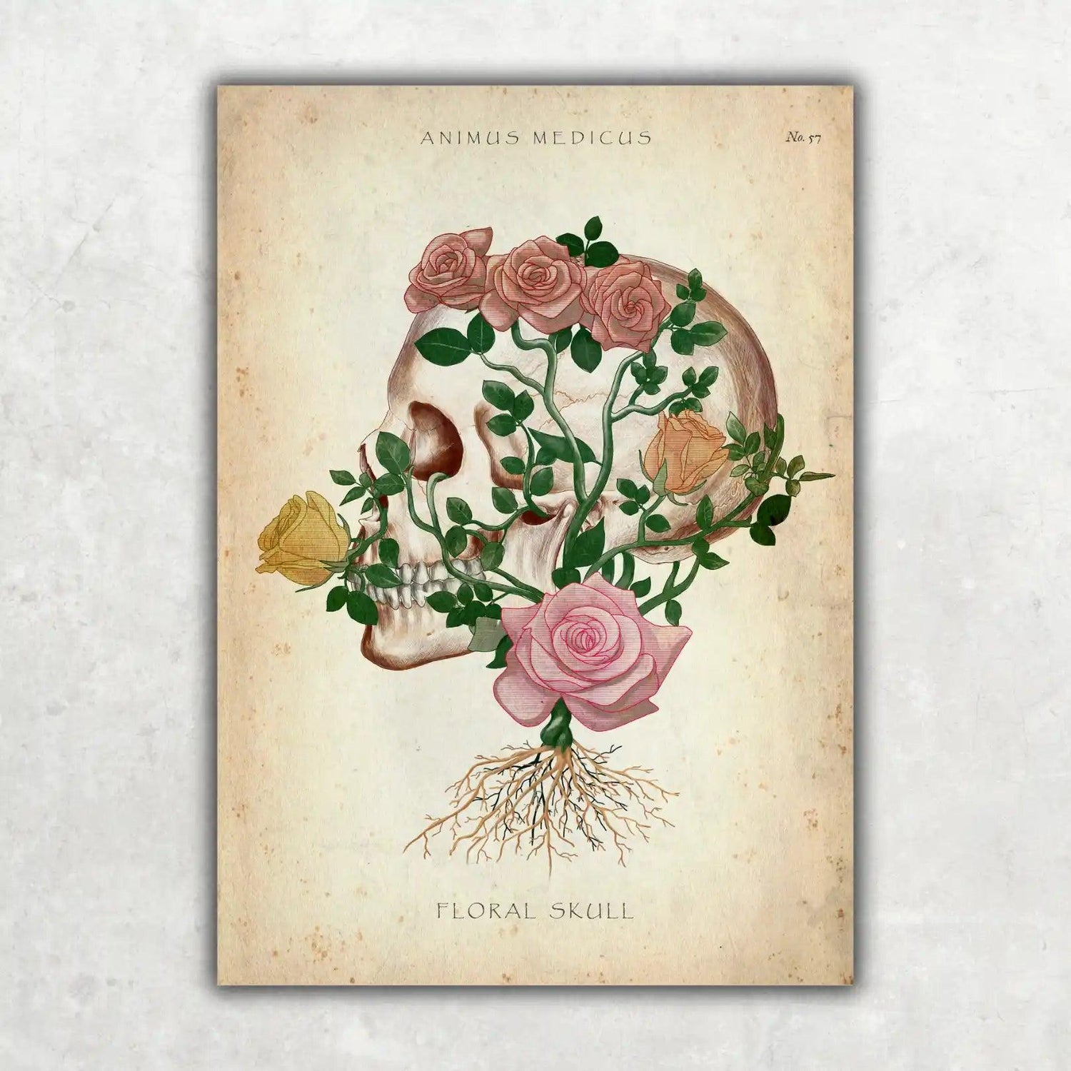 Schädel mit Blumen - Animus Medicus GmbH