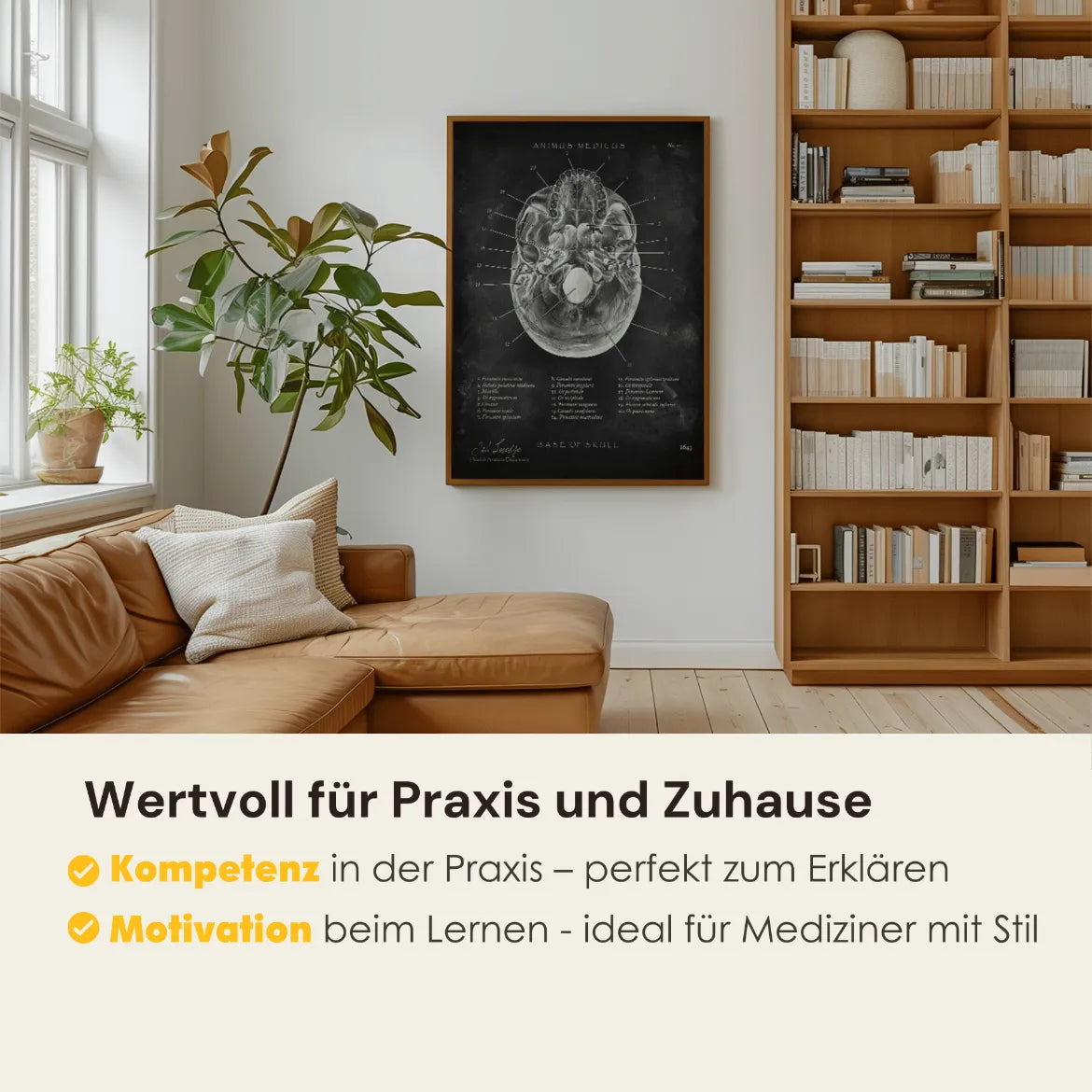 Schädelbasis Anatomie - Chalkboard - Animus Medicus GmbH