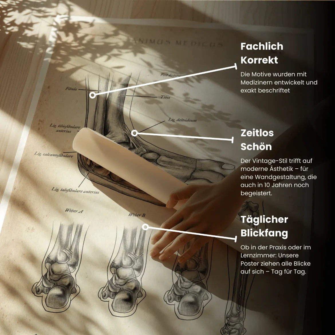 Sprunggelenk mit Bänderriss - Animus Medicus GmbH